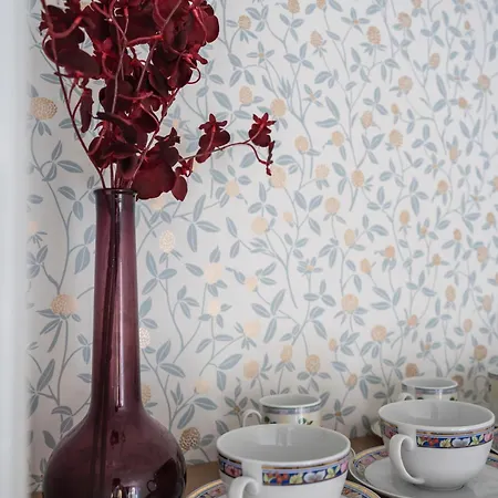 Rose Garden - Boutique In Center דירה